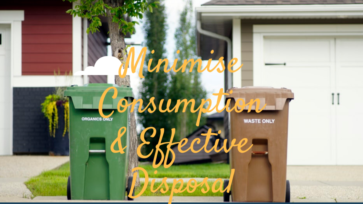 Minimise Consumption and Effective Disposal
